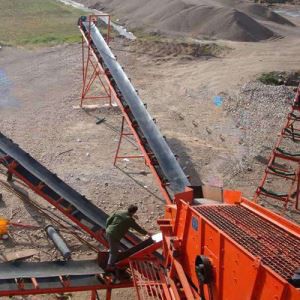 Idiota transportadora